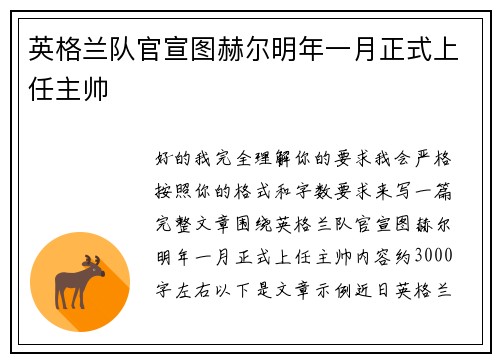 英格兰队官宣图赫尔明年一月正式上任主帅